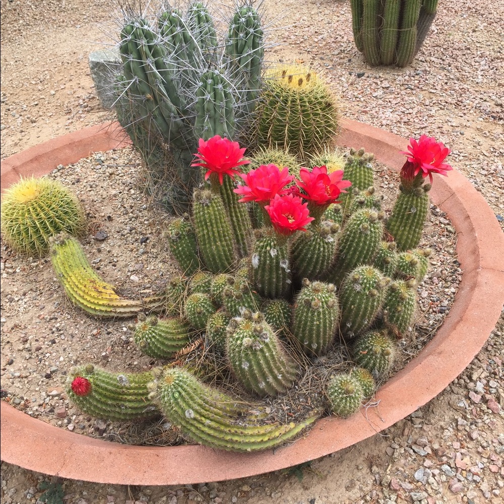 Meet your Posher, Sandi